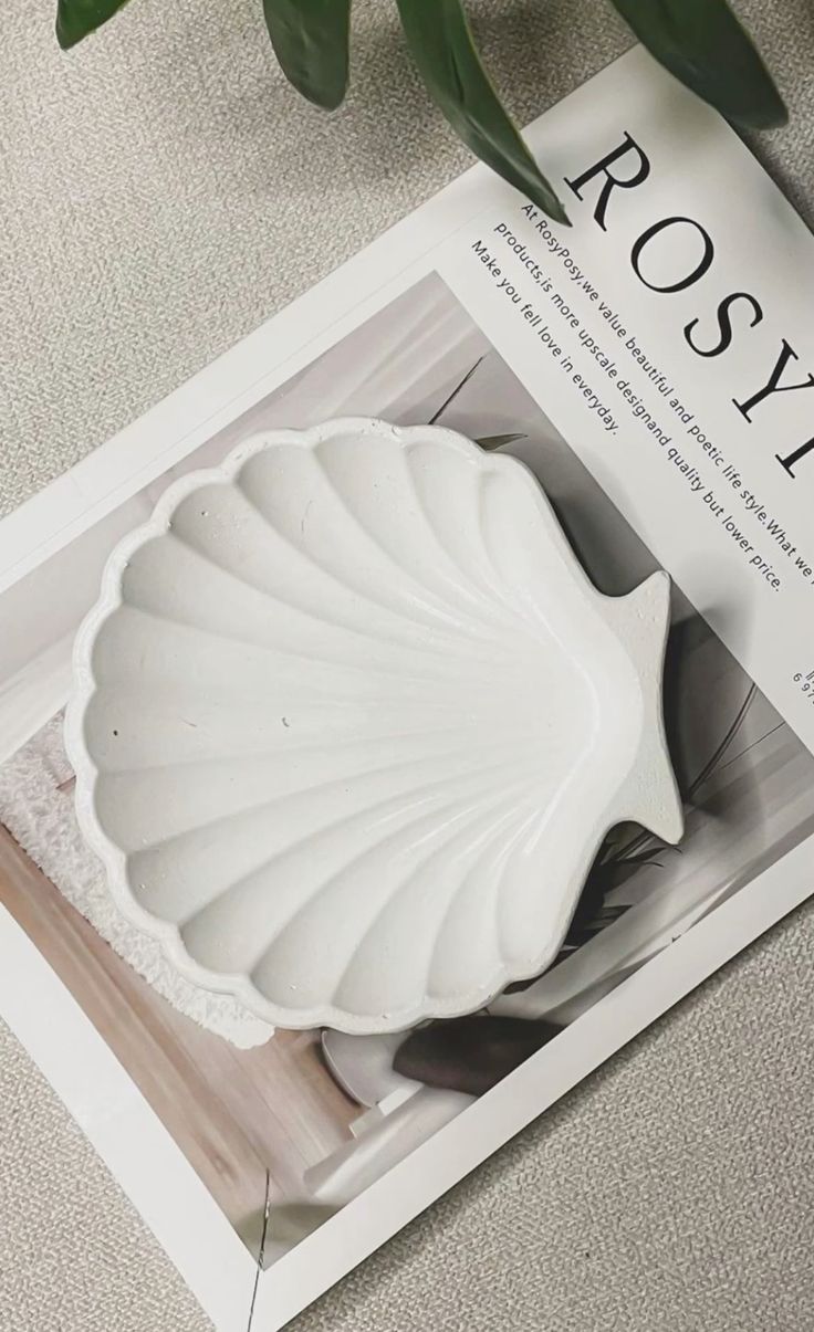 seashell tray 10*10cm