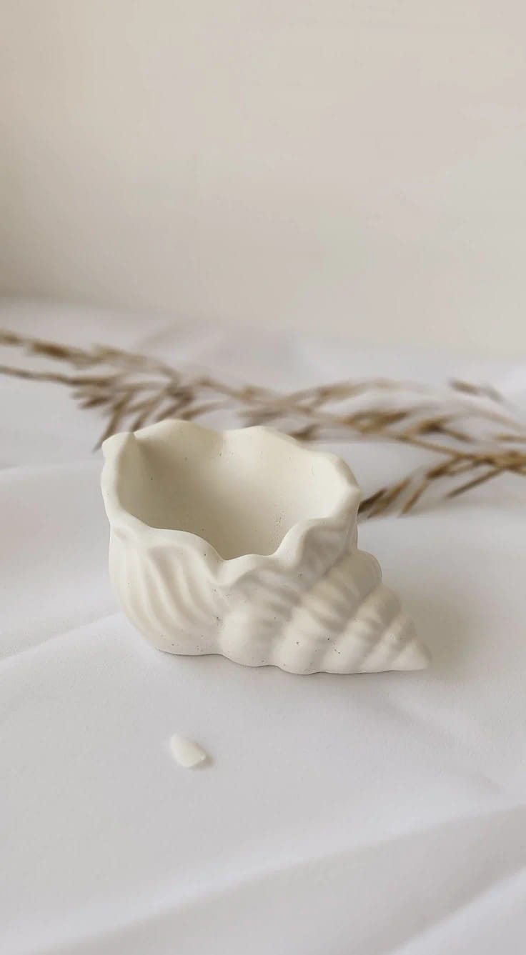 sea shell 10*5cm