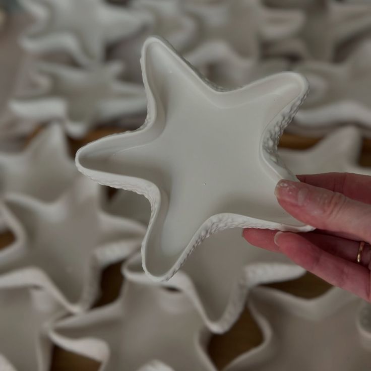 starfish tray 14*13cm